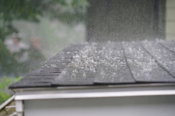 Best Roof Coating Services  in Edgerton, OH