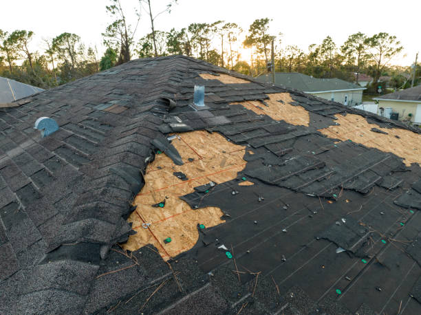 Best Sheet Metal Roofing  in Edgerton, OH