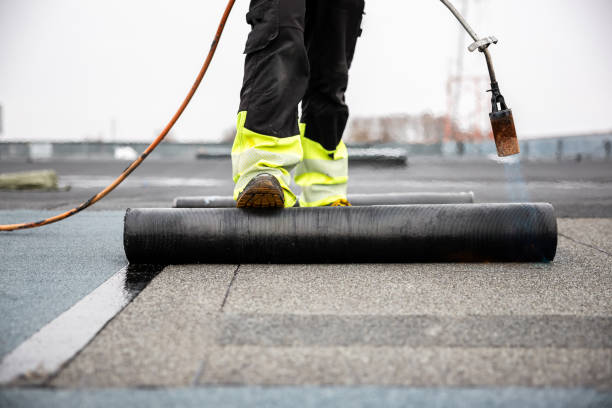 Best Metal Roofing Installation  in Edgerton, OH
